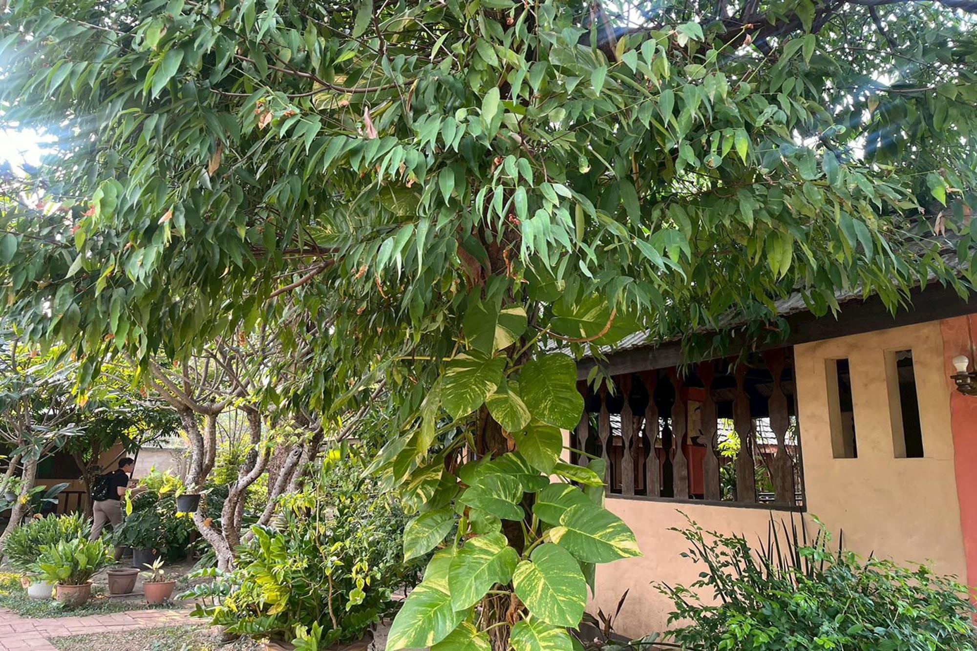 The Royal Shilton Resort Čiang Mai Exteriér fotografie